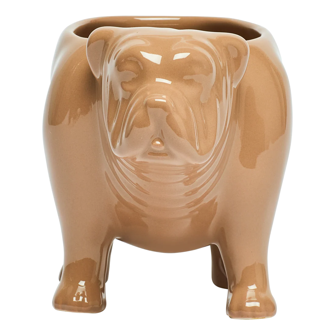 BULL DOG MUG (10OZ) - Image 5