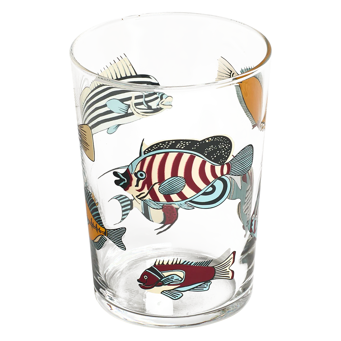 MUSEUM FISH TUMBLER (17.24OZ) - Image 3